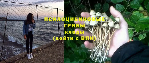 альфа пвп Горняк