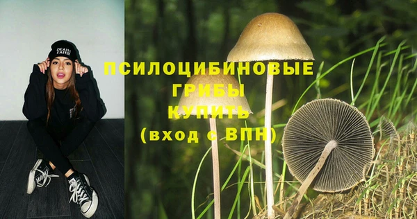 бошки Мегион