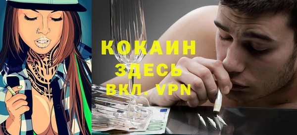 бошки Мегион