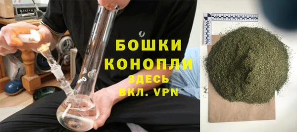 бошки Мегион