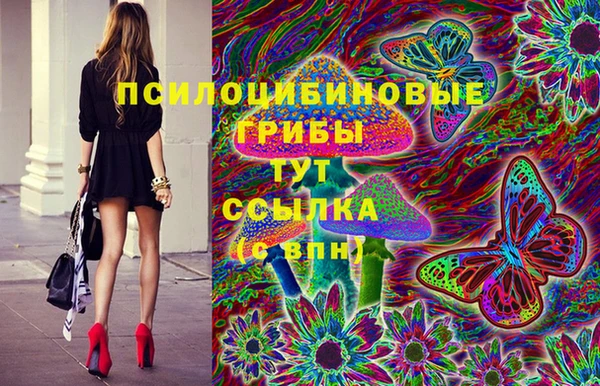 спайс Медногорск