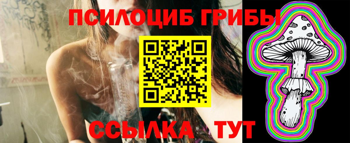 Псилоцибиновые грибы мухоморы  даркнет сайт  Дивногорск  Вход с VPN 