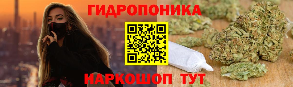 Шишки марихуана марихуана  Канабис Amnesia  Дивногорск  Каннабис план 